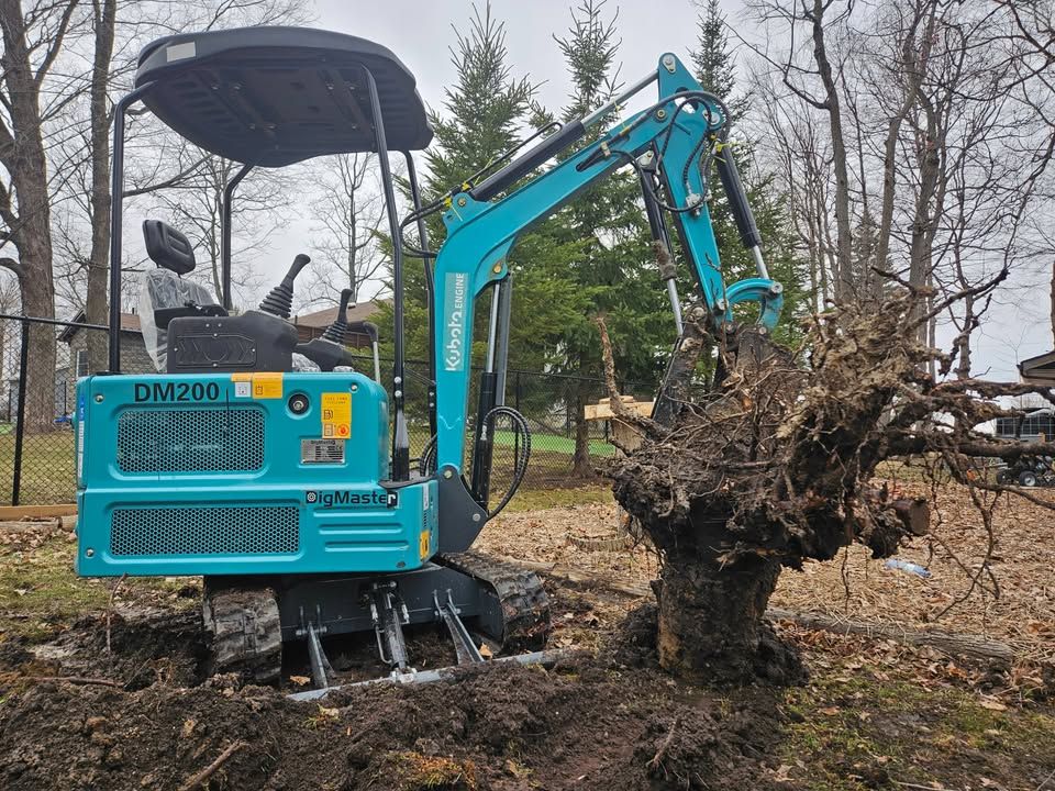 Dig Master DM200 | 1.8 Ton Mini Excavator with Kubota Diesel for